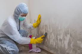 Professional Mold Inspection in Palm Desert, CA